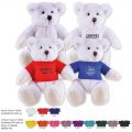Frosty Plush Teddy Bear Colour Combinations